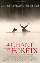 LE CHANT DES FORETS